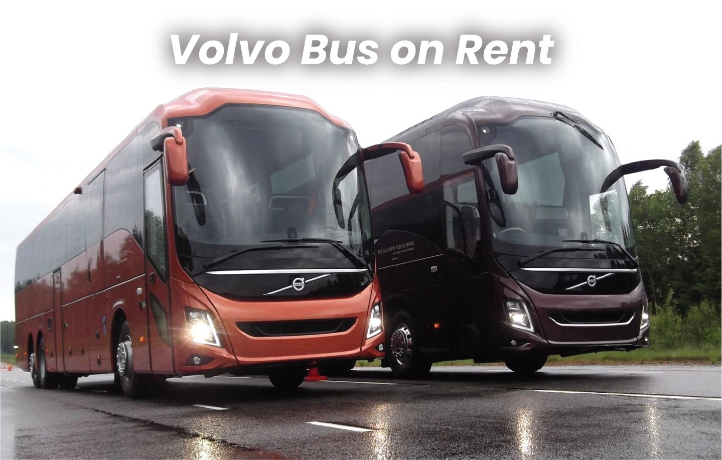 Luxury AC Bus